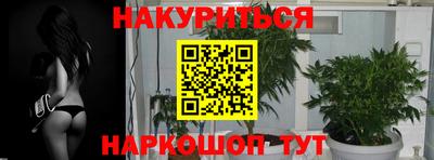 шишки Краснодар