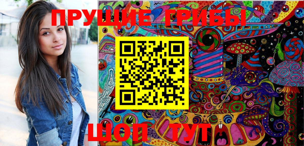 Галлюциногенные грибы Cubensis  Вход с VPN  Касимов 